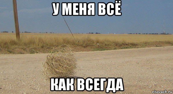 у меня всё как всегда, Мем перекати-поле одиночество