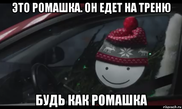 это ромашка. он едет на треню будь как ромашка, Мем Петя умный будь как петя