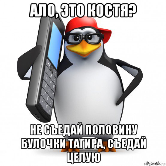 ало, это костя? не съедай половину булочки тагира, съедай целую, Мем   Пингвин звонит