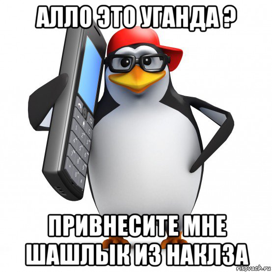 алло это уганда ? привнесите мне шашлык из наклза, Мем   Пингвин звонит