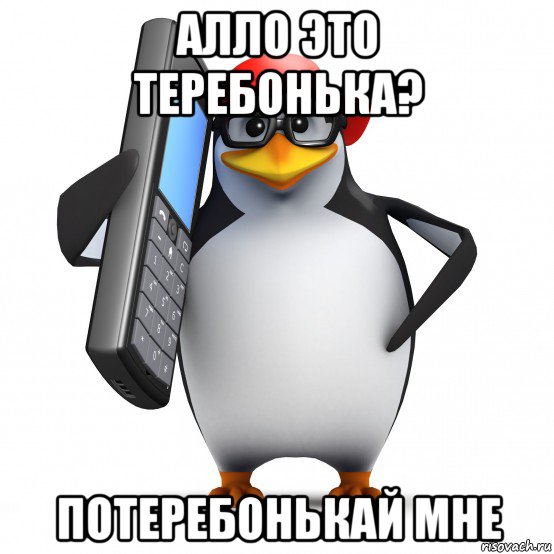 алло это теребонька? потеребонькай мне, Мем   Пингвин звонит