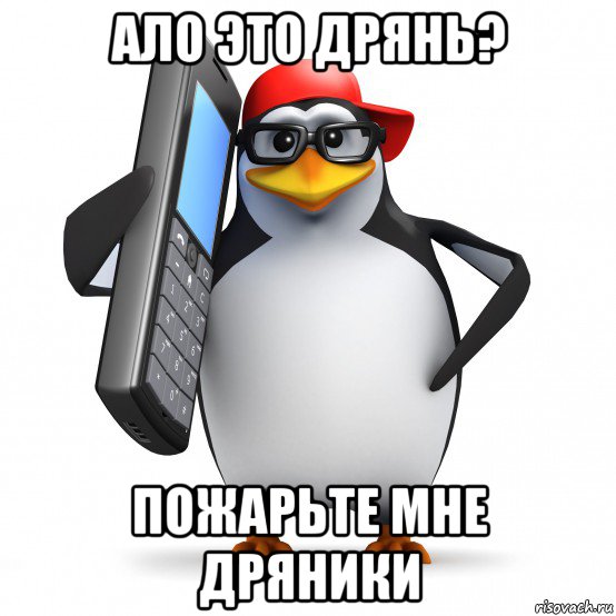 ало это дрянь? пожарьте мне дряники, Мем   Пингвин звонит