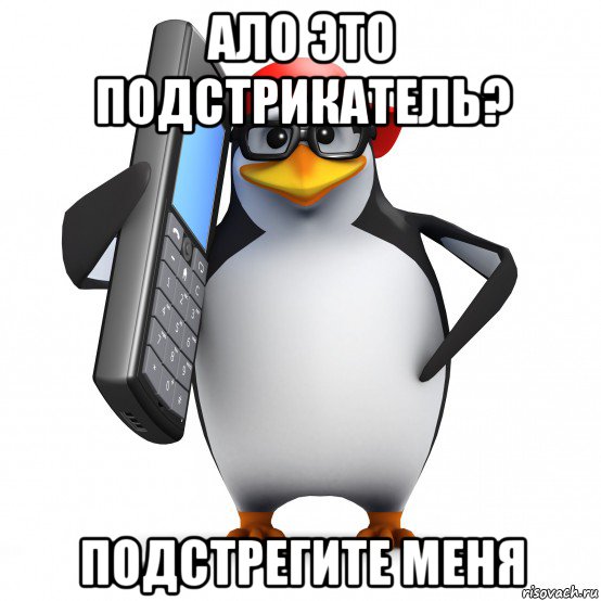 ало это подстрикатель? подстрегите меня