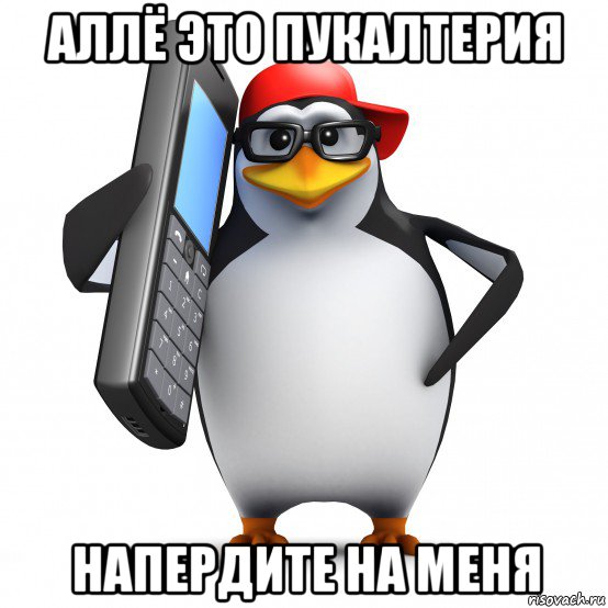 аллё это пукалтерия напердите на меня, Мем   Пингвин звонит