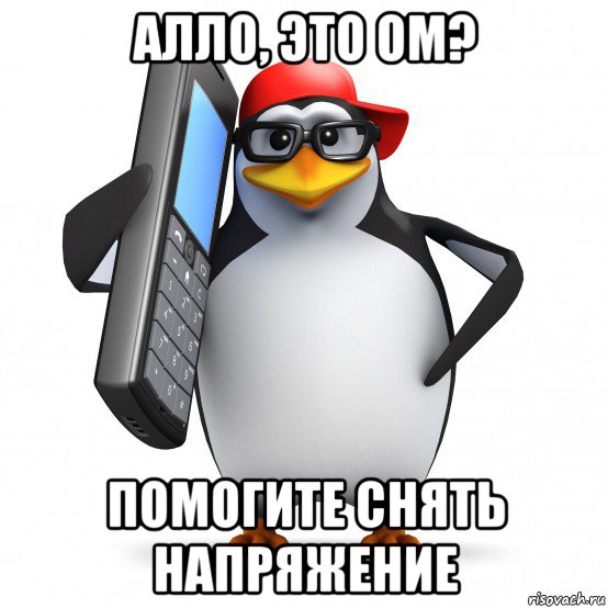 алло, это ом? помогите снять напряжение, Мем   Пингвин звонит