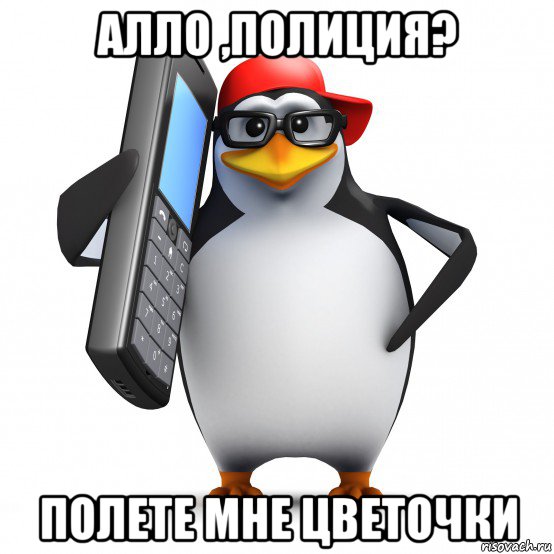 алло ,полиция? полете мне цветочки, Мем   Пингвин звонит