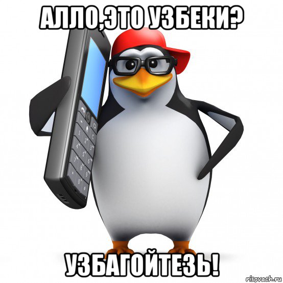 алло,это узбеки? узбагойтезь!, Мем   Пингвин звонит