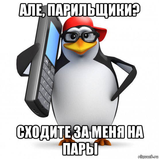 але, парильщики? сходите за меня на пары, Мем   Пингвин звонит