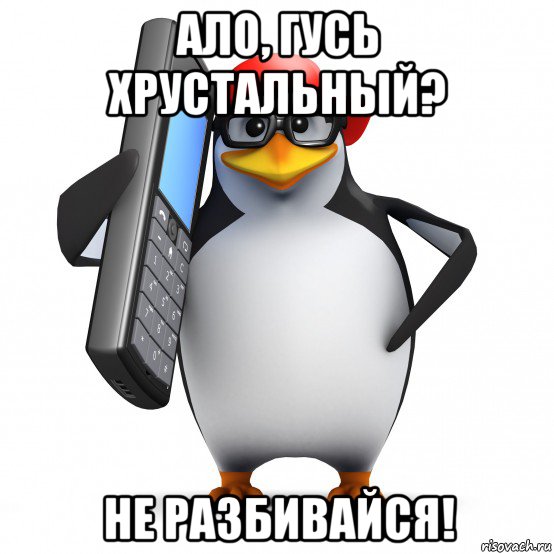 ало, гусь хрустальный? не разбивайся!, Мем   Пингвин звонит