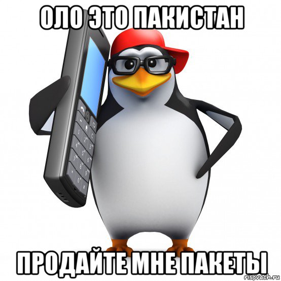 оло это пакистан продайте мне пакеты, Мем   Пингвин звонит