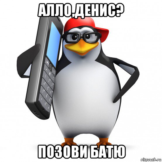 алло,денис? позови батю, Мем   Пингвин звонит