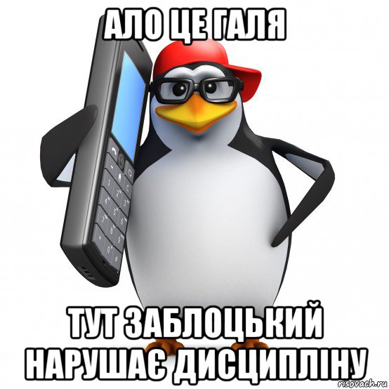 ало це галя тут заблоцький нарушає дисципліну, Мем   Пингвин звонит