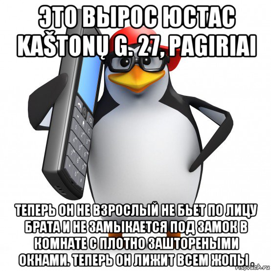 это вырос юстас kaštonų g. 27, pagiriai теперь он не взрослый не бьет по лицу брата и не замыкается под замок в комнате с плотно заштореными окнами. теперь он лижит всем жопы ., Мем   Пингвин звонит