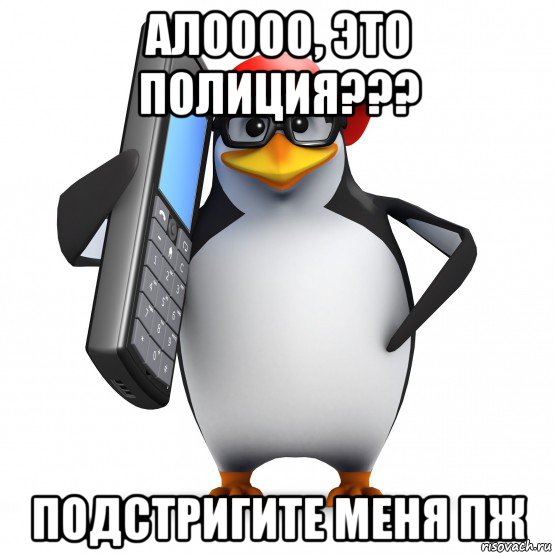 алоооо, это полиция??? подстригите меня пж, Мем   Пингвин звонит