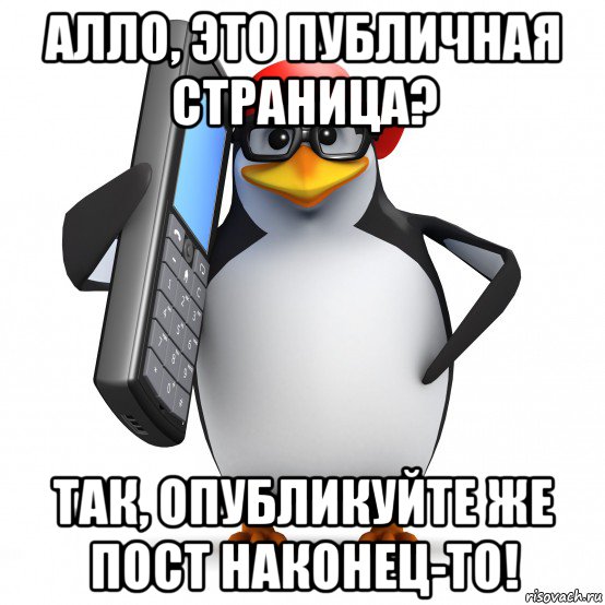 алло, это публичная страница? так, опубликуйте же пост наконец-то!, Мем   Пингвин звонит