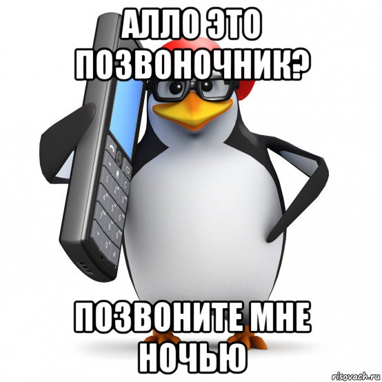 алло это позвоночник? позвоните мне ночью, Мем   Пингвин звонит