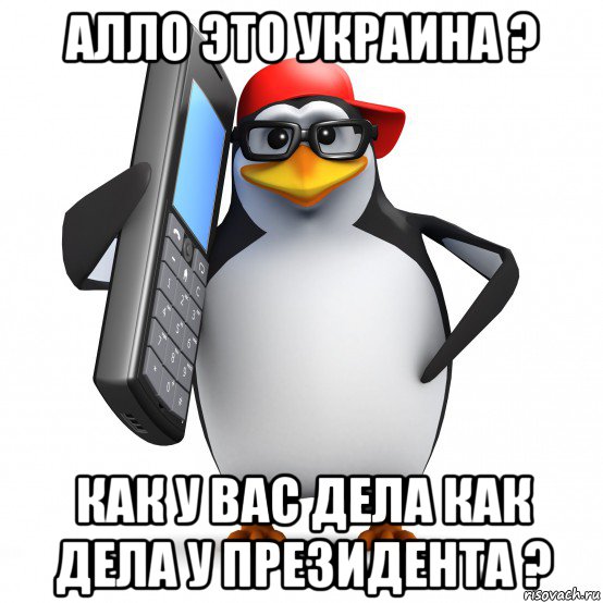 алло это украина ? как у вас дела как дела у президента ?, Мем   Пингвин звонит