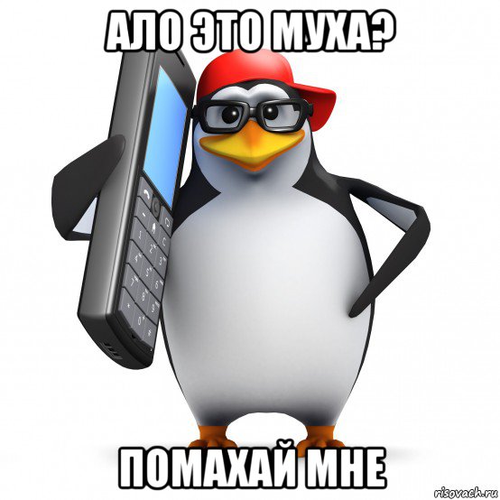 ало это муха? помахай мне, Мем   Пингвин звонит