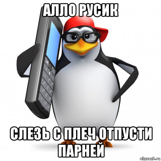 алло русик слезь с плеч отпусти парней, Мем   Пингвин звонит