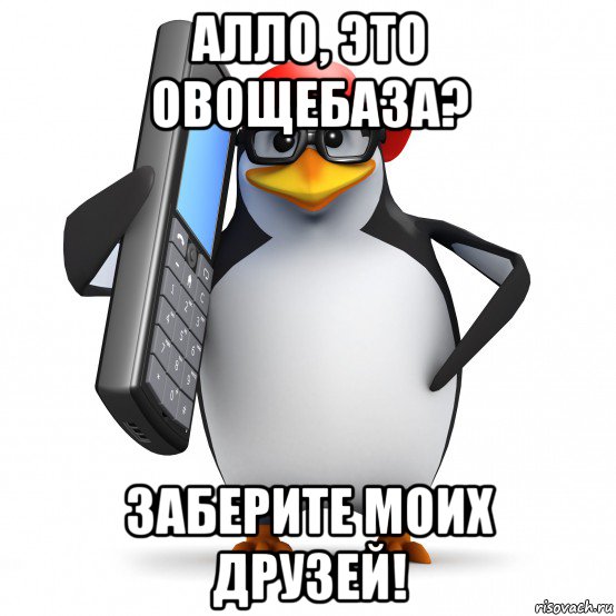 алло, это овощебаза? заберите моих друзей!, Мем   Пингвин звонит