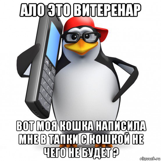 ало это витеренар вот моя кошка написила мне в тапки с кошкой не чего не будет ?