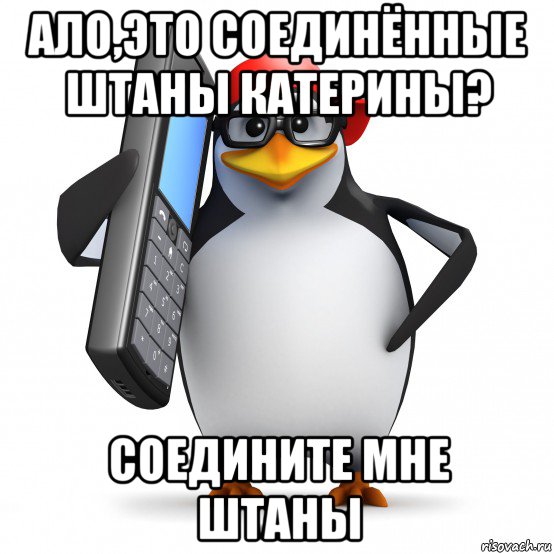 ало,это соединённые штаны катерины? соедините мне штаны