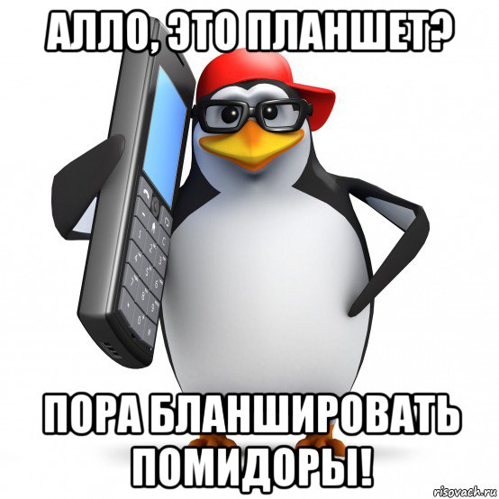 алло, это планшет? пора бланшировать помидоры!, Мем   Пингвин звонит