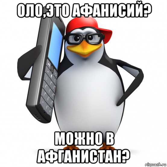 оло,это афанисий? можно в афганистан?, Мем   Пингвин звонит