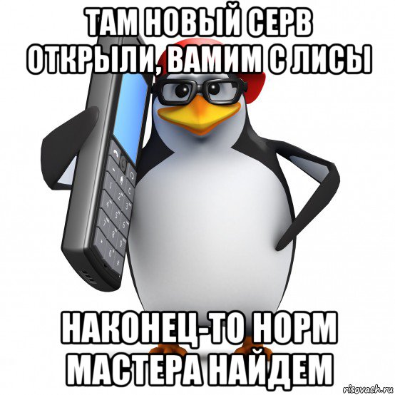 там новый серв открыли, вамим с лисы наконец-то норм мастера найдем, Мем   Пингвин звонит