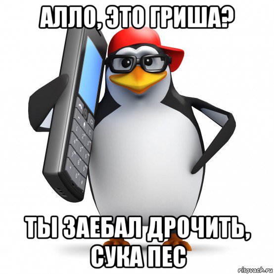 алло, это гриша? ты заебал дрочить, сука пес, Мем   Пингвин звонит