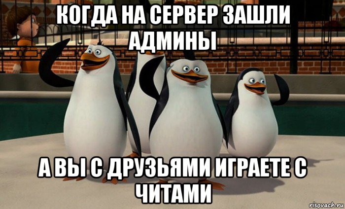 когда на сервер зашли админы а вы с друзьями играете с читами, Мем  пингвины Мадагаскара
