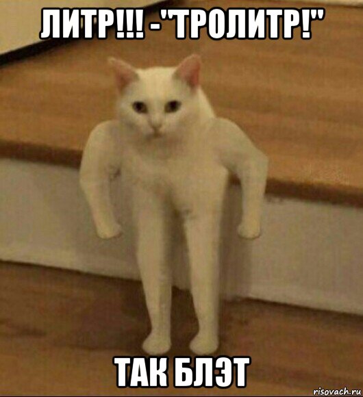 литр!!! -"тролитр!" так блэт, Мем  Полукот