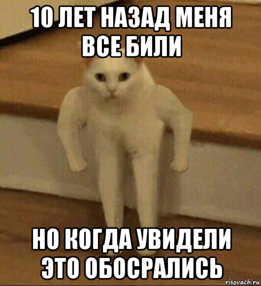 10 лет назад меня все били но когда увидели это обосрались, Мем  Полукот