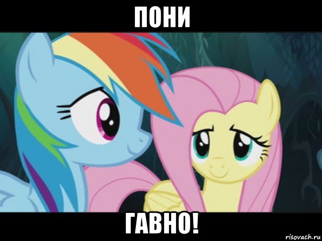 пони гавно!