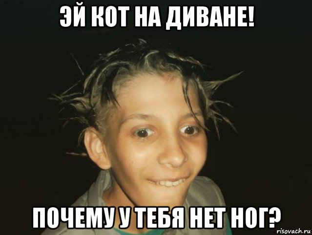 эй кот на диване! почему у тебя нет ног?