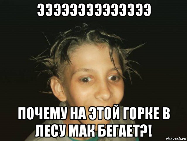 ээээээээээээээ почему на этой горке в лесу мак бегает?!