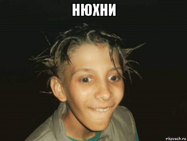 нюхни 