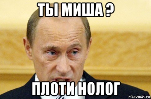 ты миша ? плоти нолог, Мем путин