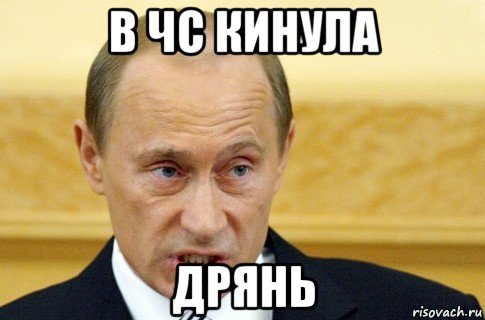 в чс кинула дрянь, Мем путин