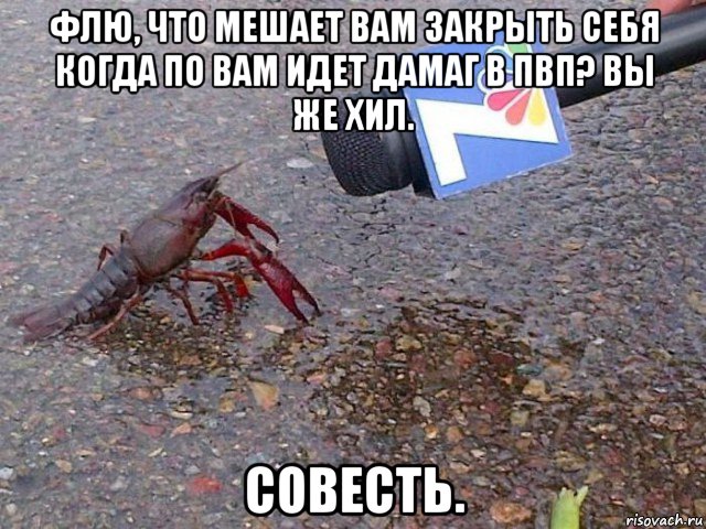 флю, что мешает вам закрыть себя когда по вам идет дамаг в пвп? вы же хил. совесть.