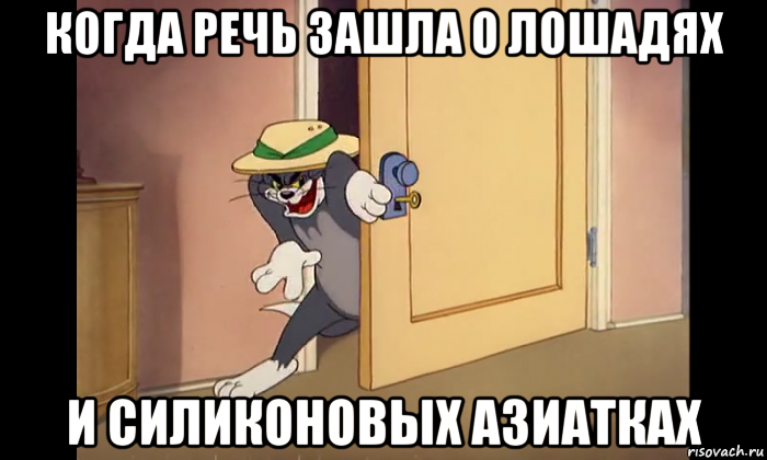 когда речь зашла о лошадях и силиконовых азиатках