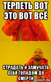 терпеть вот это вот всё страдать и замучать себя голодом до смерти