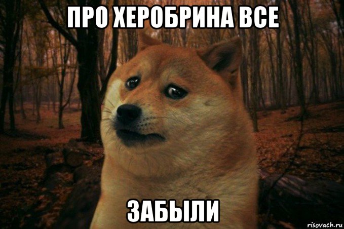 про херобрина все забыли, Мем SAD DOGE