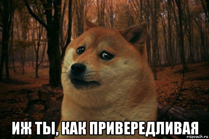  иж ты, как привередливая, Мем SAD DOGE