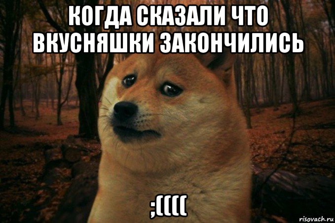 когда сказали что вкусняшки закончились ;((((, Мем SAD DOGE