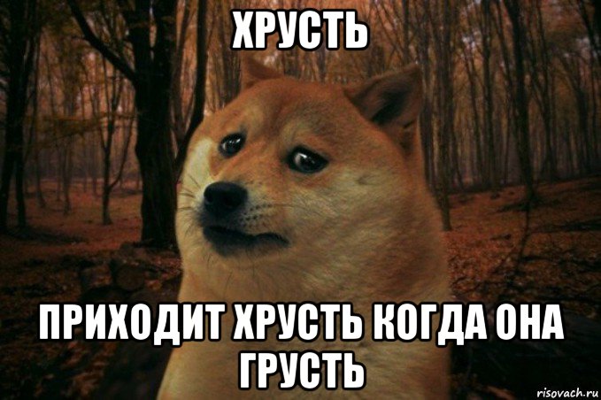 хрусть приходит хрусть когда она грусть, Мем SAD DOGE