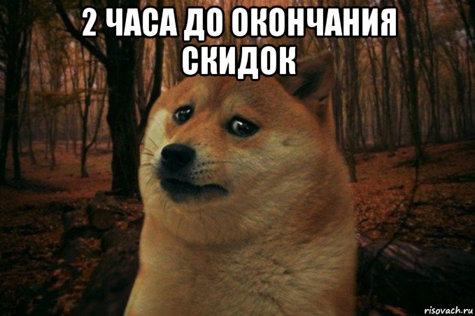 2 часа до окончания скидок , Мем SAD DOGE