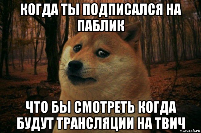 когда ты подписался на паблик что бы смотреть когда будут трансляции на твич, Мем SAD DOGE