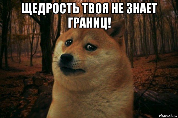 щедрость твоя не знает границ! , Мем SAD DOGE