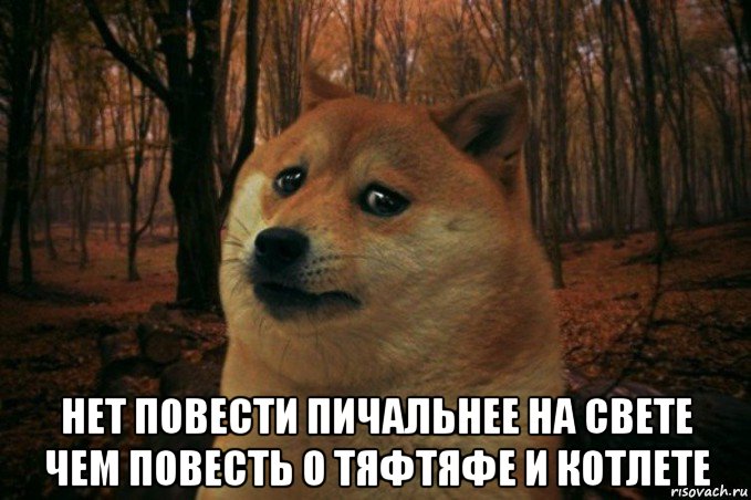  нет повести пичальнее на свете чем повесть о тяфтяфе и котлете, Мем SAD DOGE